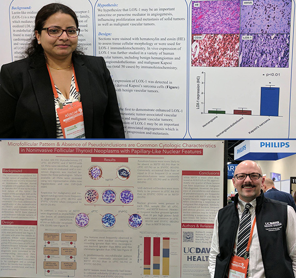 Ananya Datta Mitra and Andy Jones