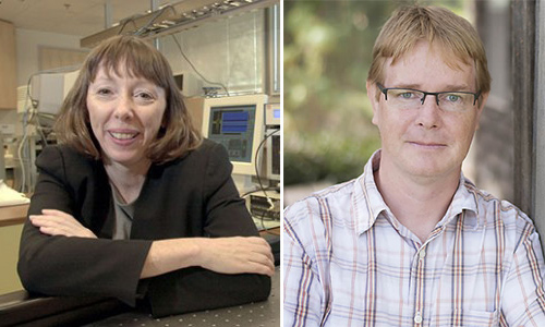 Katherine Ferrara and Gerardo Mackenzie