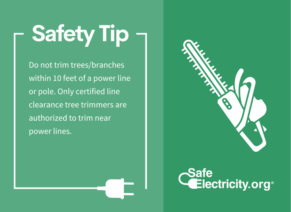 Monthly Resource Guide from Safe Electricity
