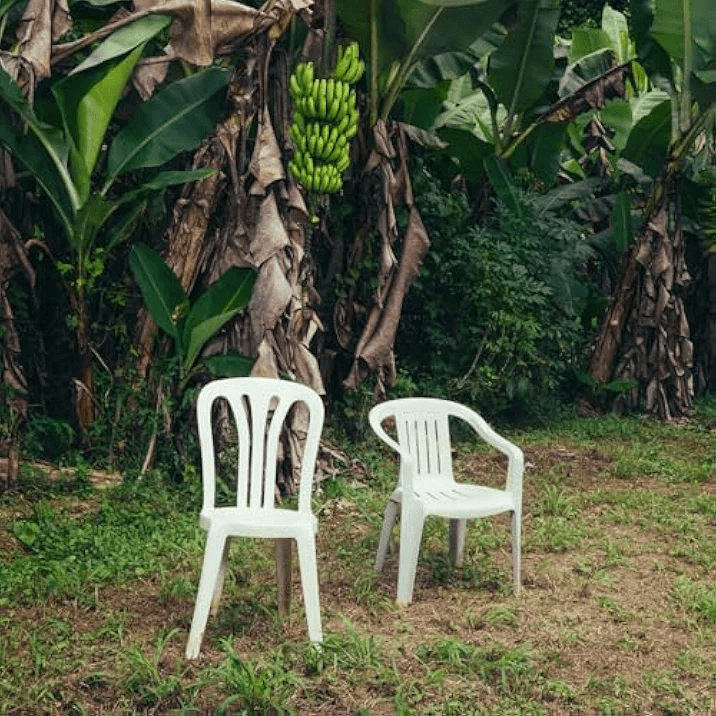 Bad Bunny Album Cover