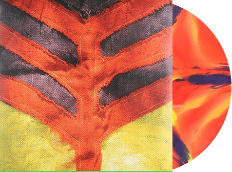 Yeah Yeah Yeahs Vinyl