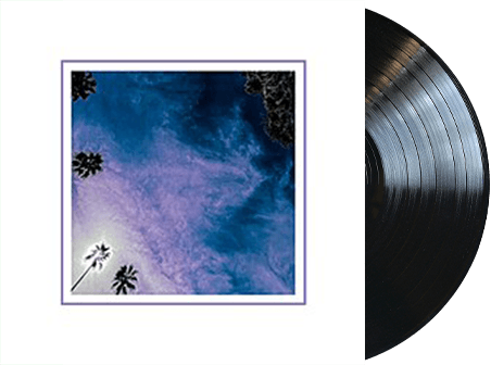 Look Outside Your Window Vinyl