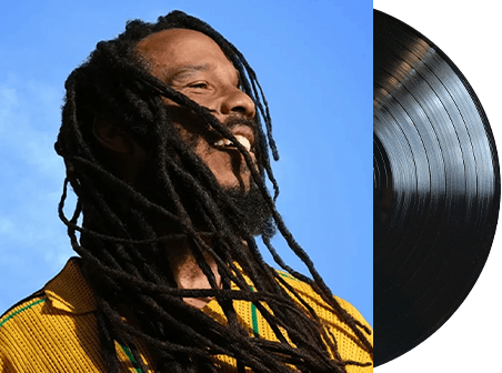 Ziggy Marley Viny;