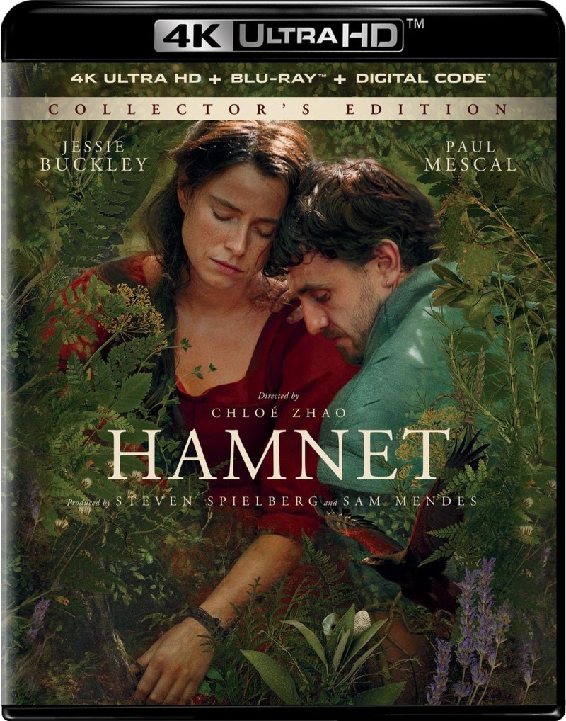 Hamnet Cover