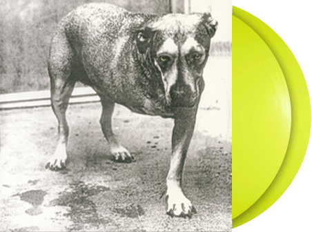 Alice in Chains Vinyl