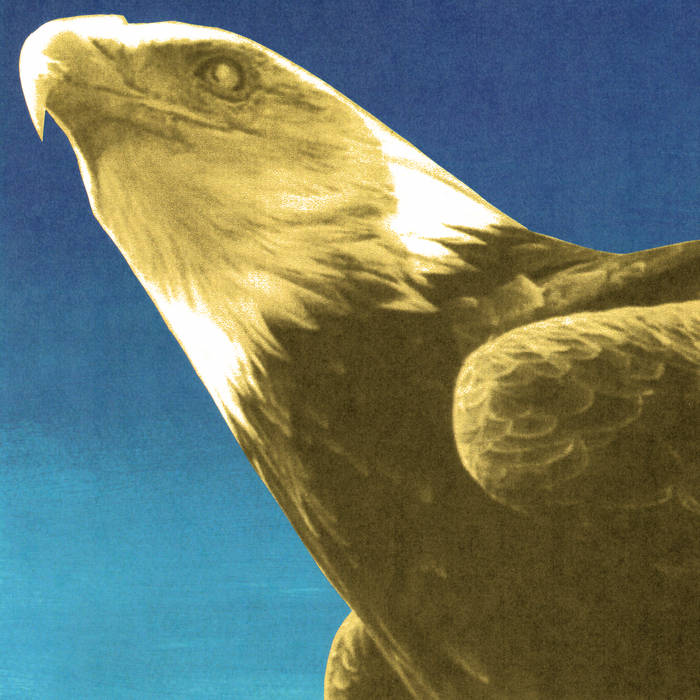 Protomartyr Cover