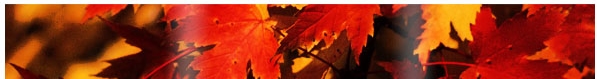 red-fall-leaves-banner.jpg