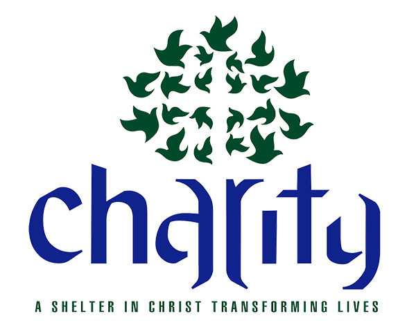 web size charity logo.png