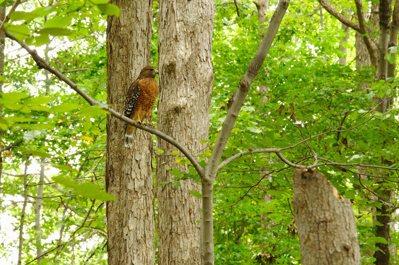 Ramsey Creek Park