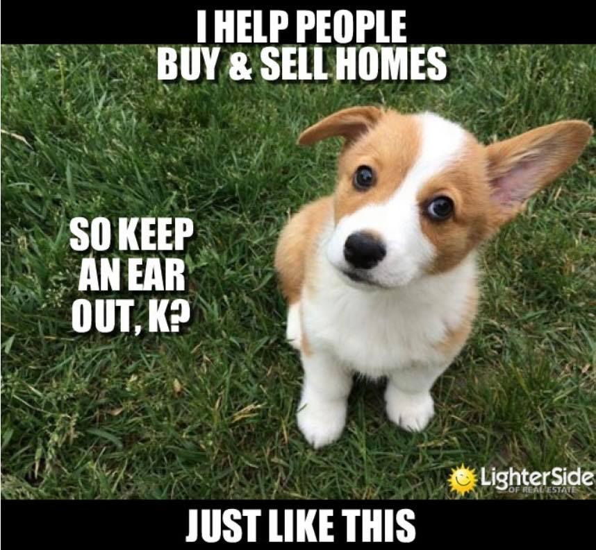 Ear.jpg