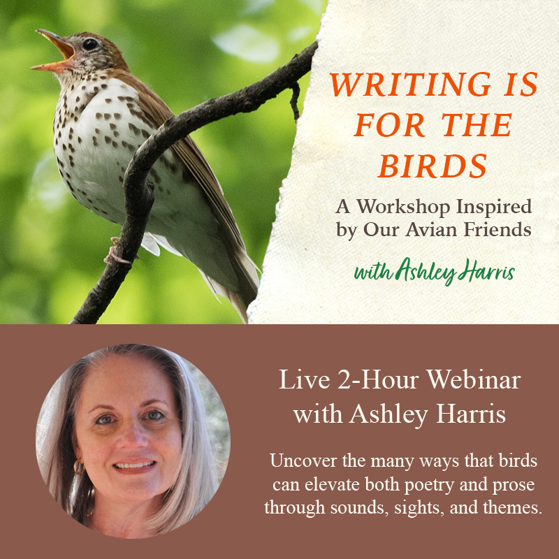 Writing is for the Birds