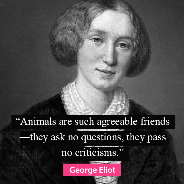 Animals are such agreeable friends - they ask no questions, they pass no criticisms -George Eliot