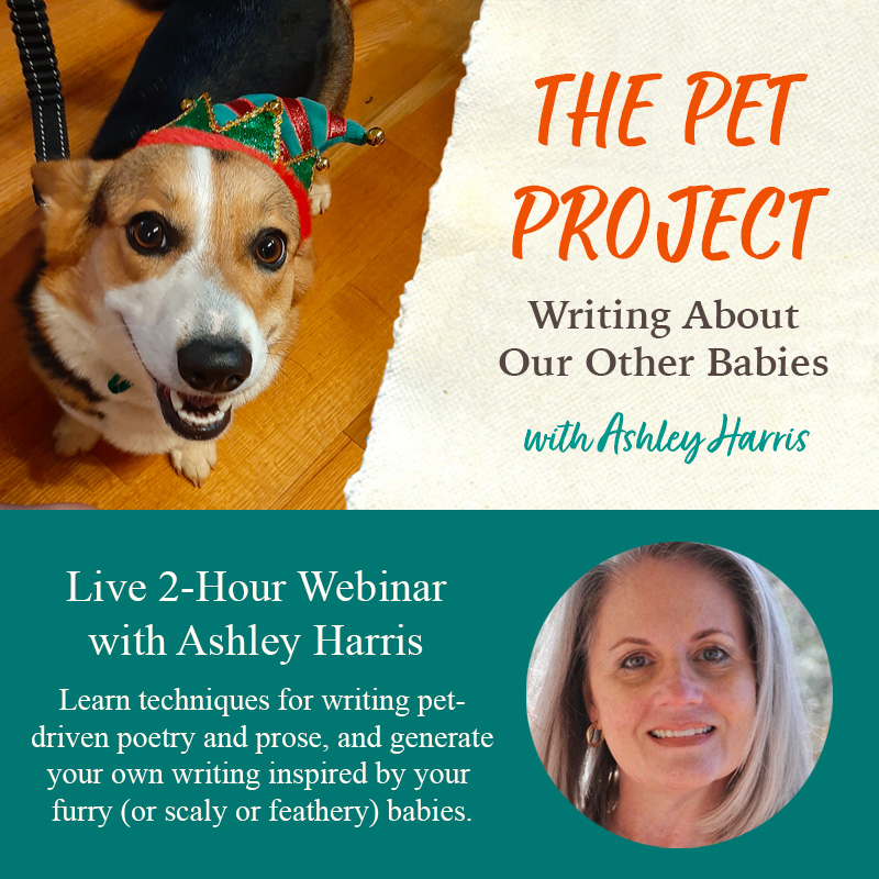 The Pet Project