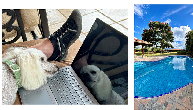 Oscar exhausted by a long day of writing and the Casa Uno pool