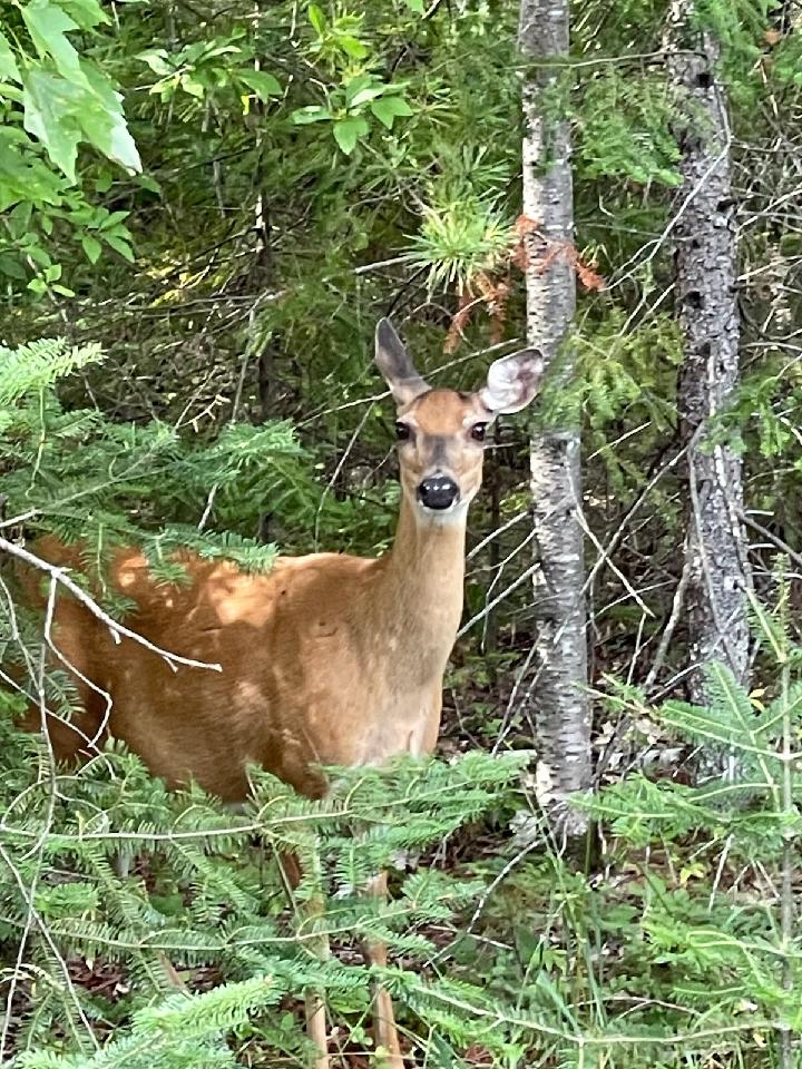 Land & Water January 2023 Update