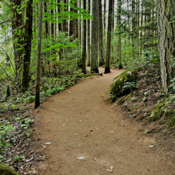Eventbrite_Cover_Photo_-_2160_x_1080_px_p1.png