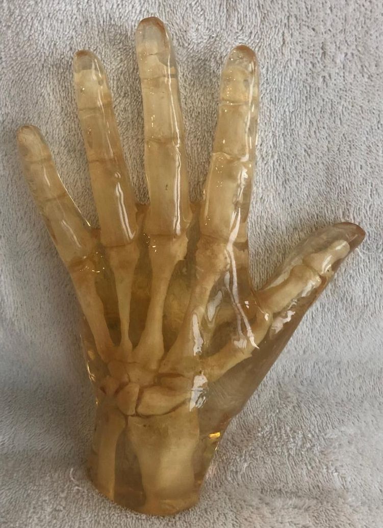 Hand Phantom