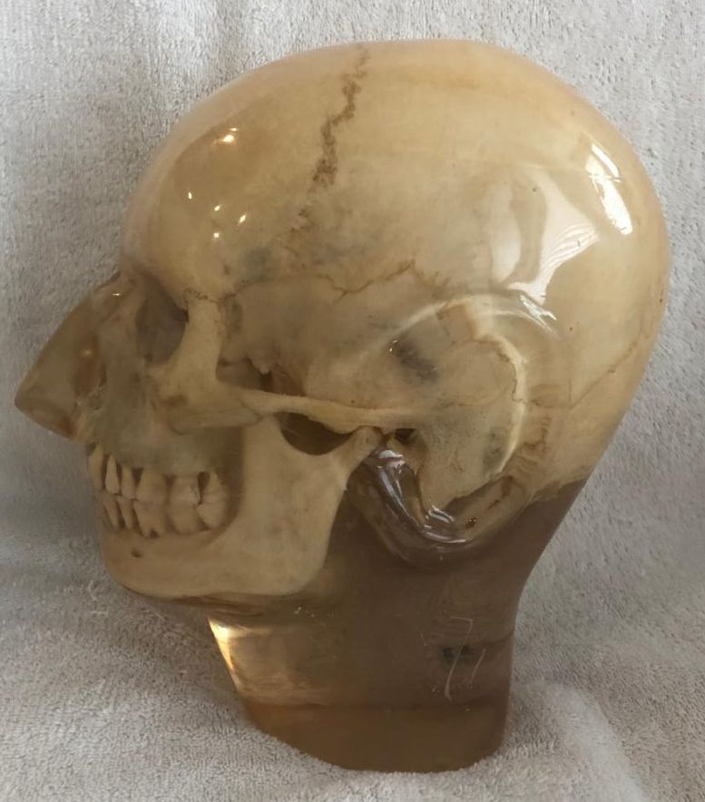 Skull Phantom