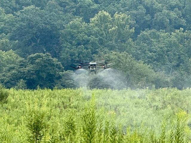 Image of an agricultural drone flying over crops, spraying invasive species with pesticides.