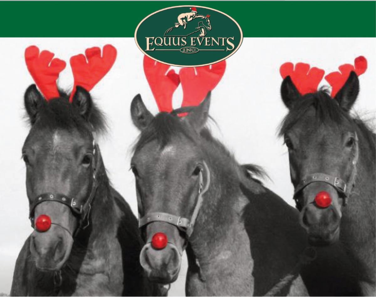 Split Rock Jumping Tour, Aiken 2020