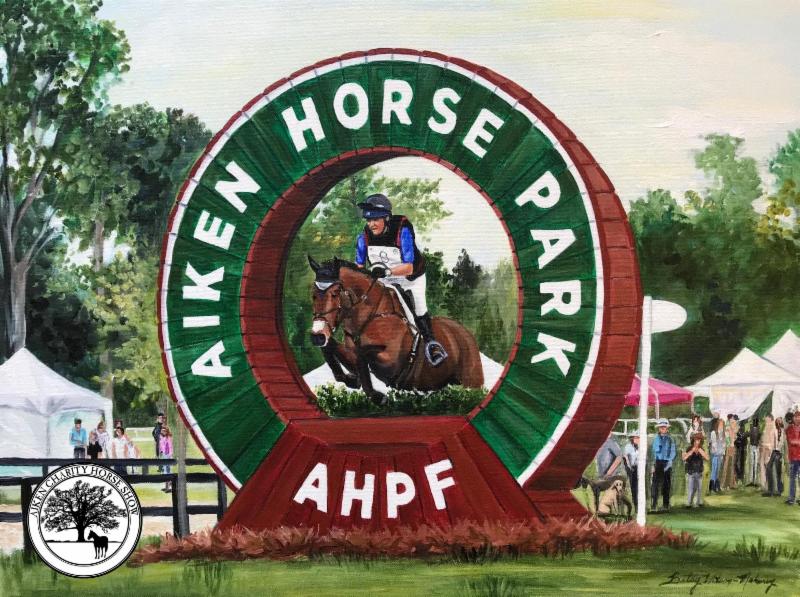 Split Rock Jumping Tour, Aiken 2020