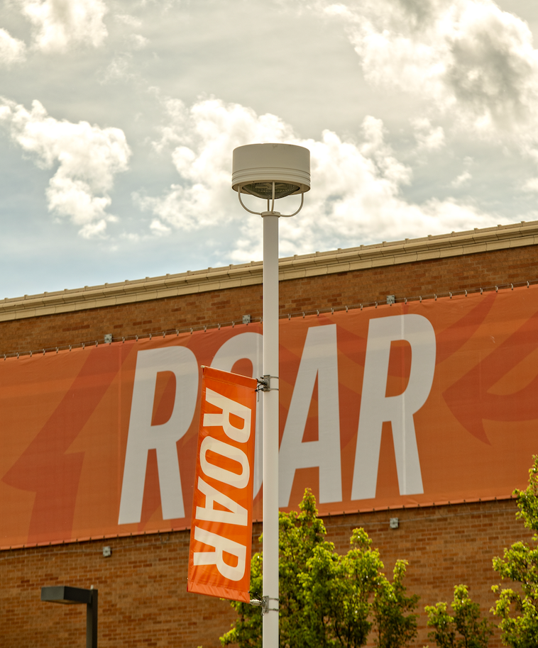 Roar banners on a lamppost at Reed Gym