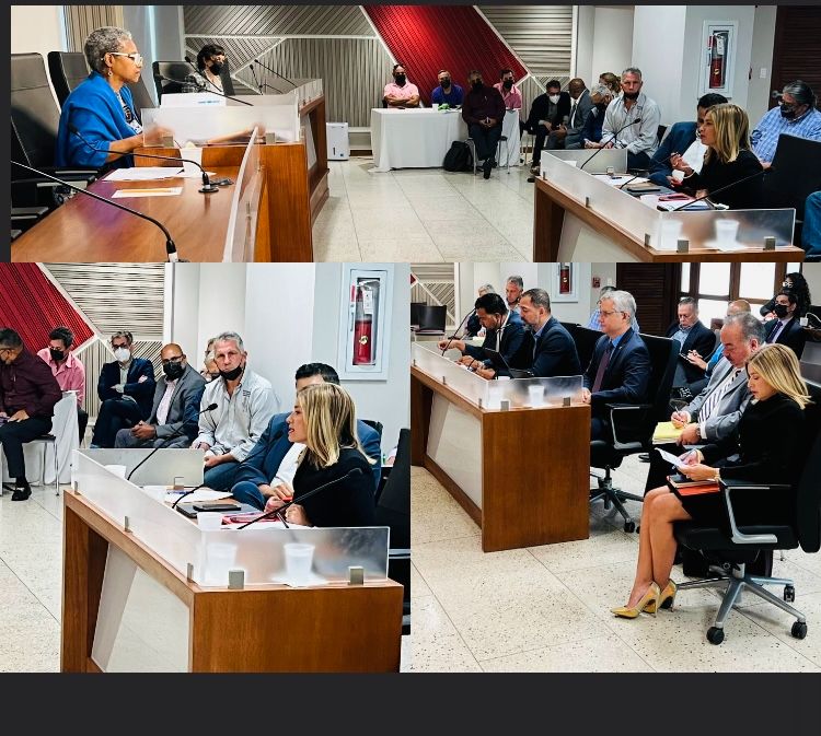 Liza-reforma-lab.jpeg