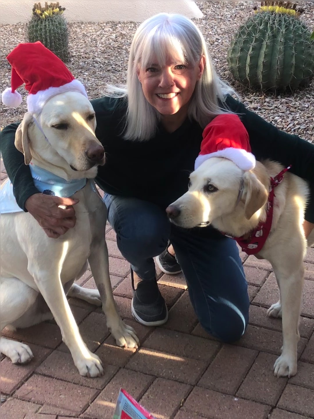 Nancy with Willow and Houston