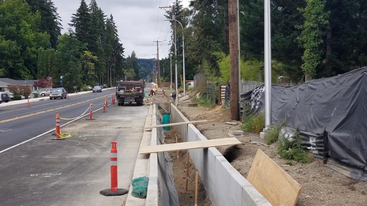 198th Avenue LIDA swales