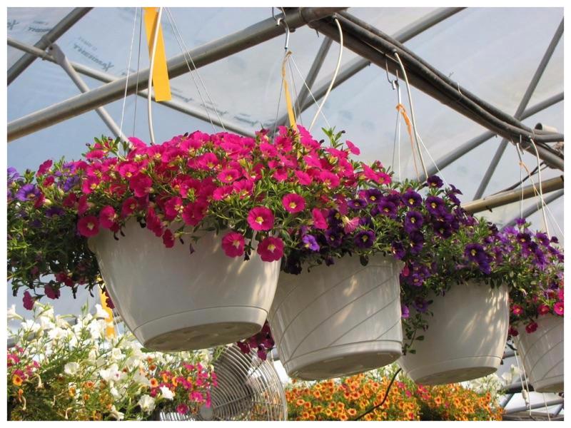 New Potting Station At Redbud Farms And Nurseries New Potting Station At Redbud Farms And