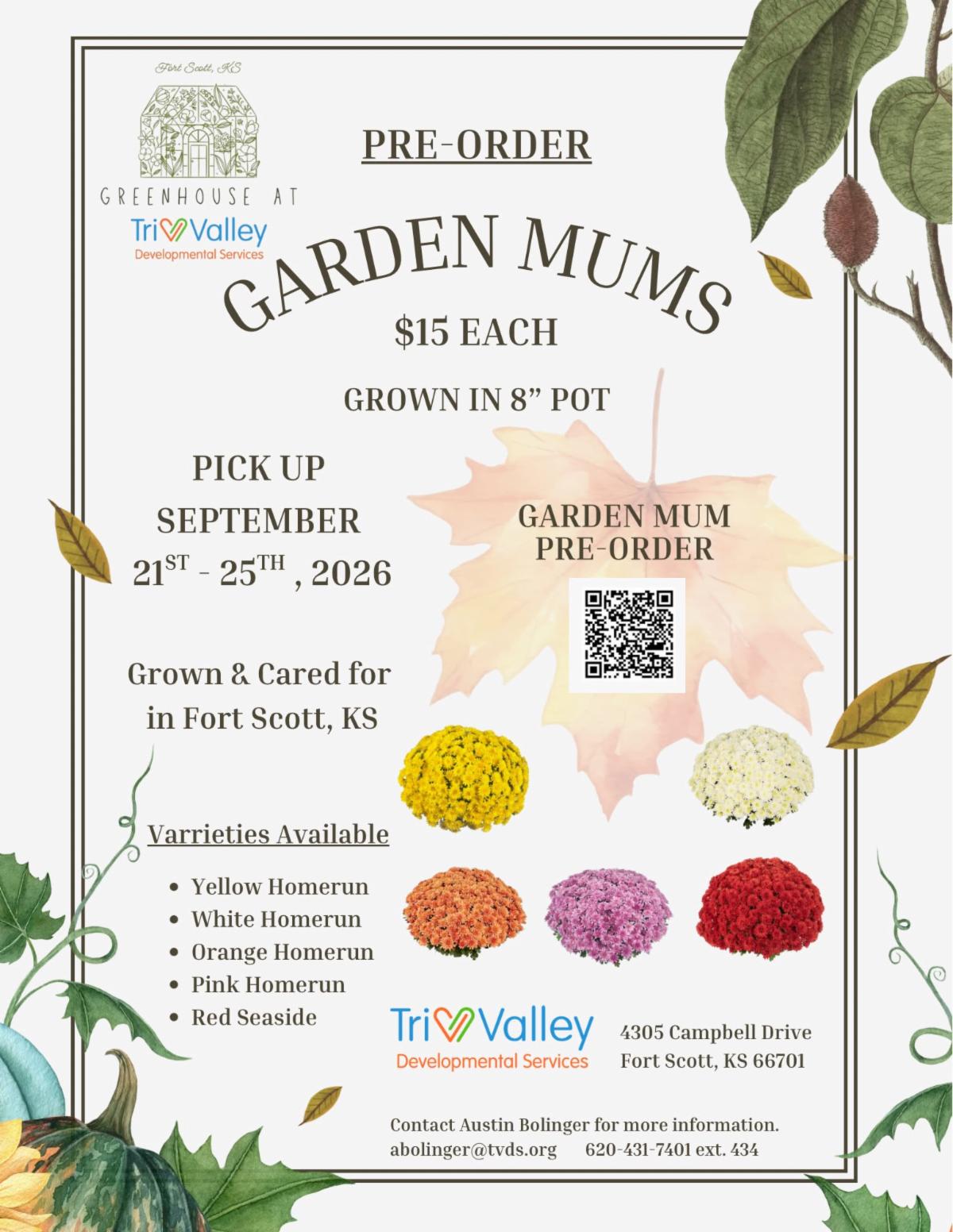Tri-Valley Developmental Services
