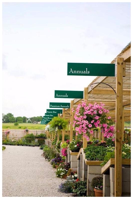 New Potting Station At Redbud Farms And Nurseries New Potting Station At Redbud Farms And