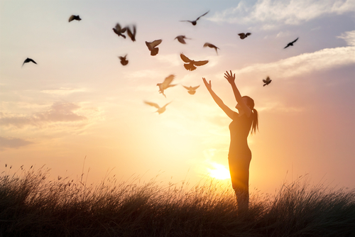 Woman praying and free bird enjoying nature on sunset background_ hope concept 