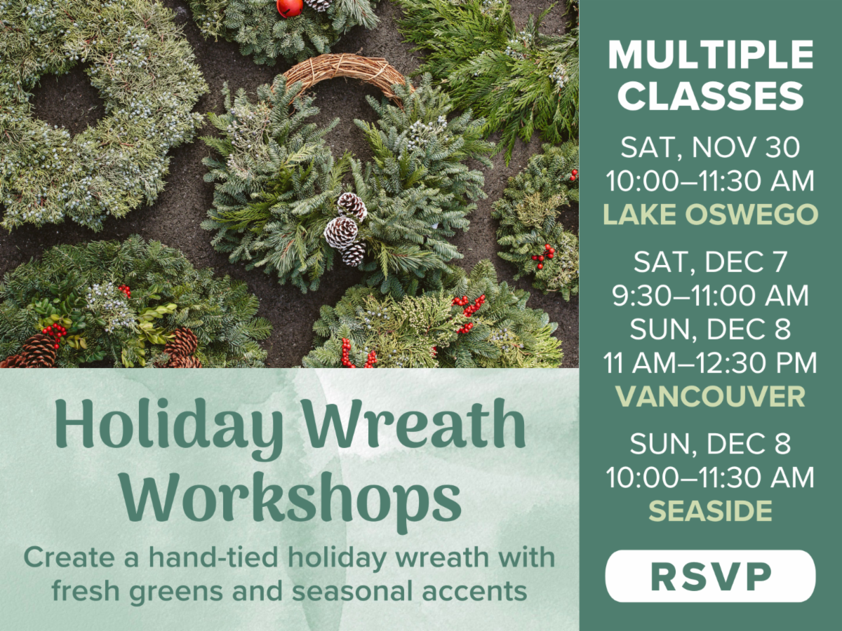 The 7 BEST PLANTS Voted by Our Gardening Experts 🥇