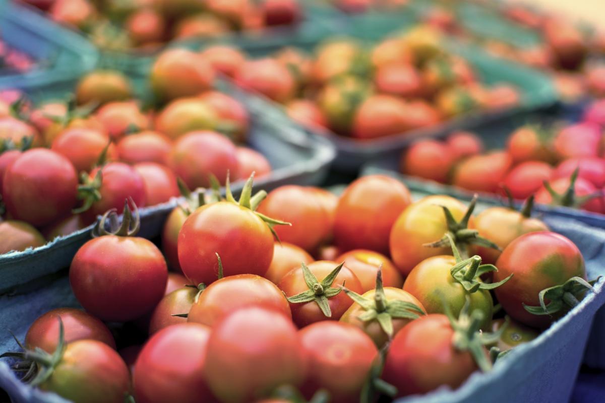 cherry tomatoes in pint containers