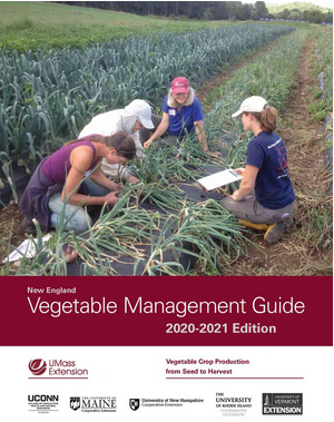 New England Vegetable Management Guide cover with research crew evaluating an onion trial in the field.