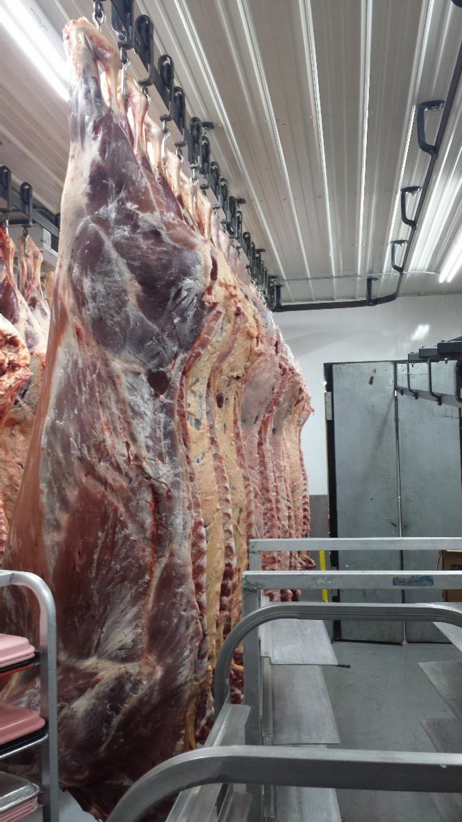 meat carcass hanging in cooler