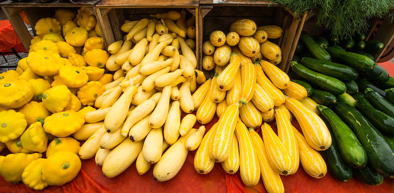 image of 4 types of squash 