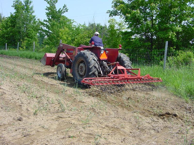 Tractor with tine cultivator