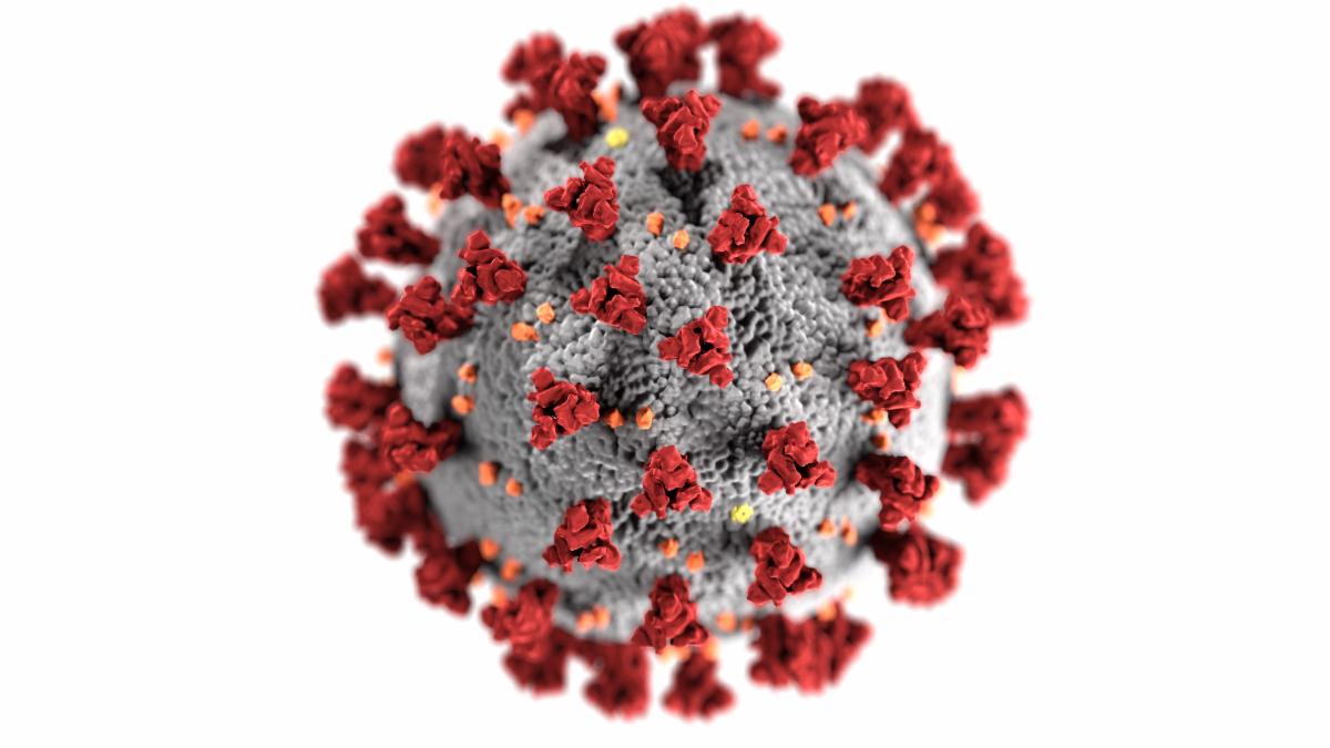 coronavirus image from CDC