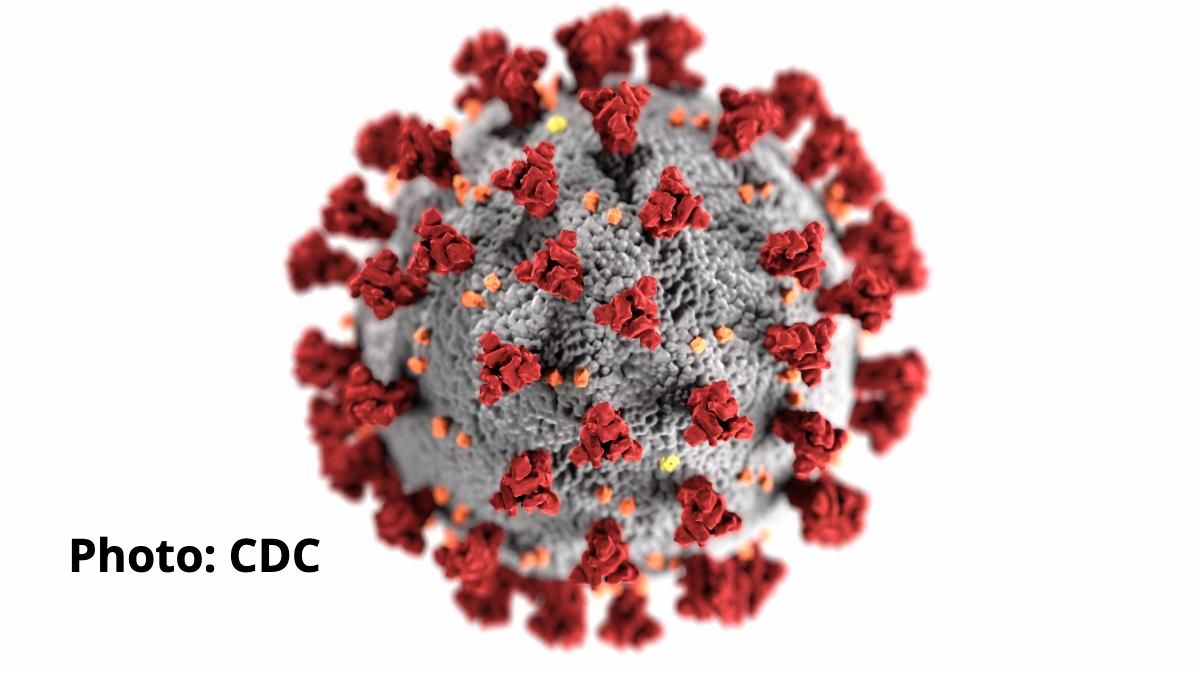 coronavirus image from CDC