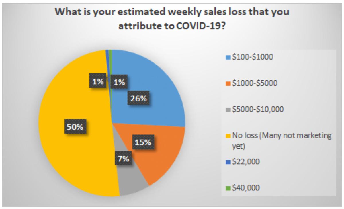 Pie chart of estimated sales losses during Covid-19