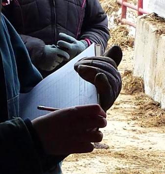 paper and pencil records