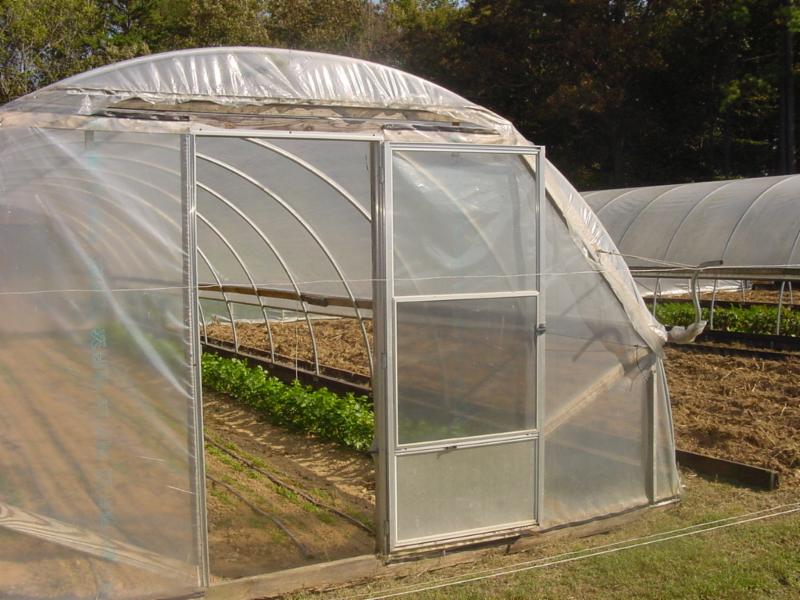 Greenhouse