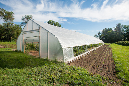 Greenhouse