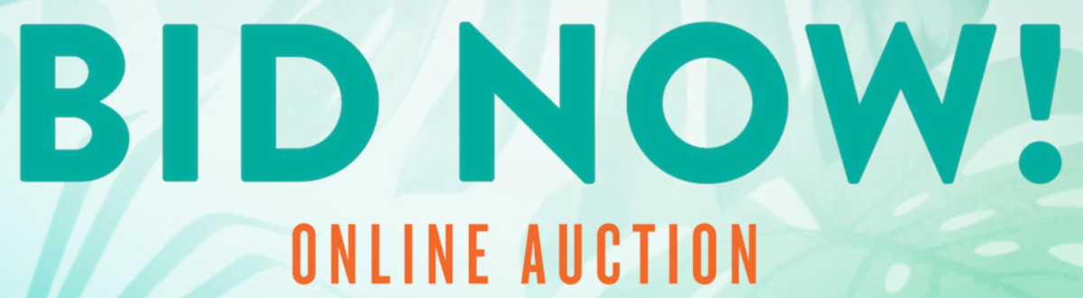 Bid Now