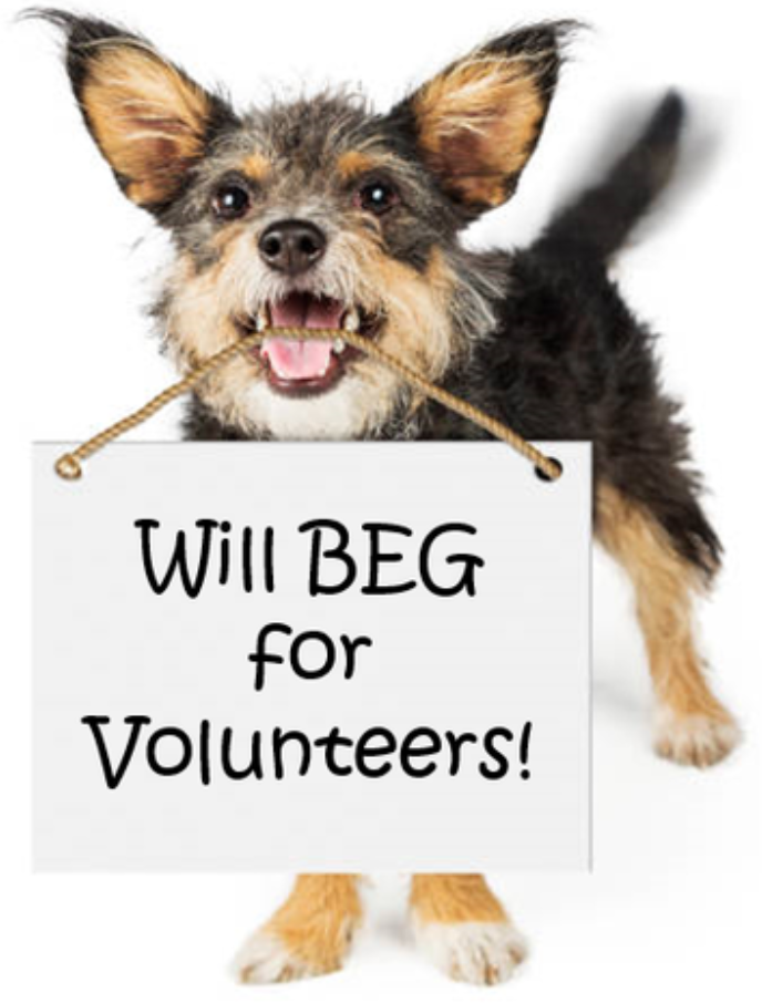 volunteers