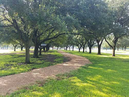 Texas City Rotary Trail and trees