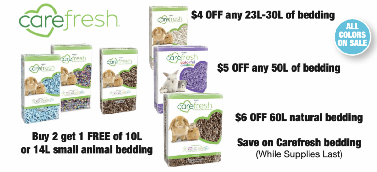 Happy Pawlidays! ️ 💚 December Savings!