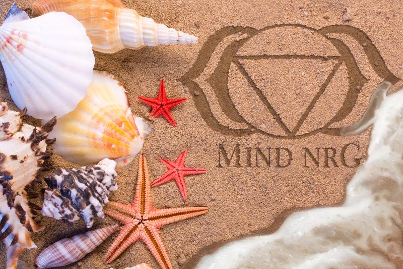 MindNRG Summer Logo